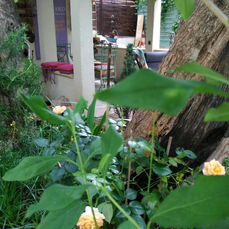 2 pièces, Proche centre ville, GIP ASFO, Jardin et Parking Privatifs - Appartement - 7