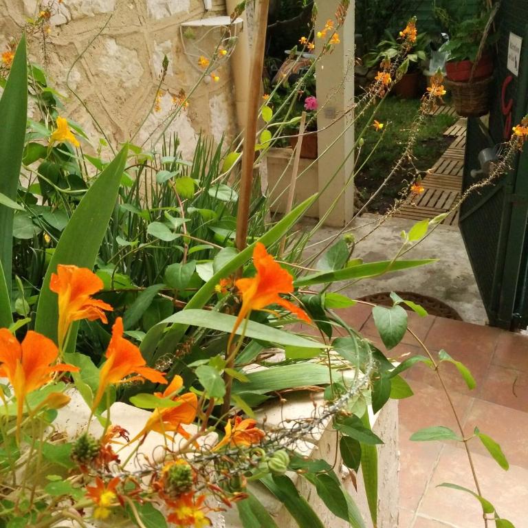 2 pièces, Proche centre ville, GIP ASFO, Jardin et Parking Privatifs - Appartement - 6