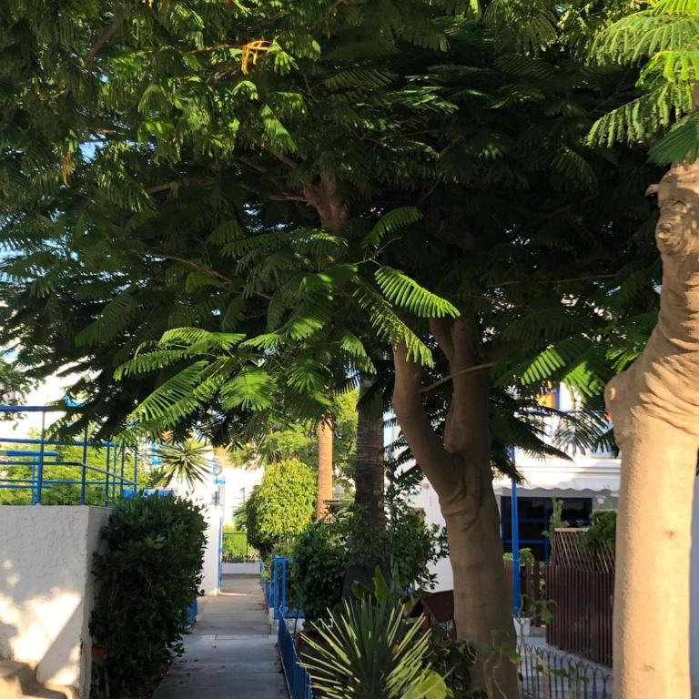 Bungalow Playmar - Apartamento - 2 niveles - 45