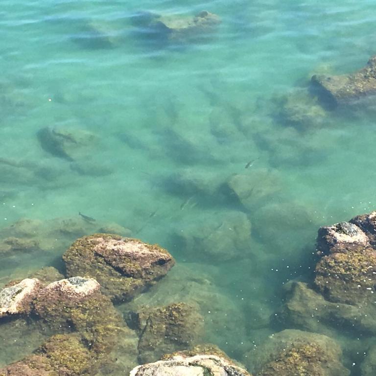 La Casetta di Dory sul Mare - Appartamento - 49
