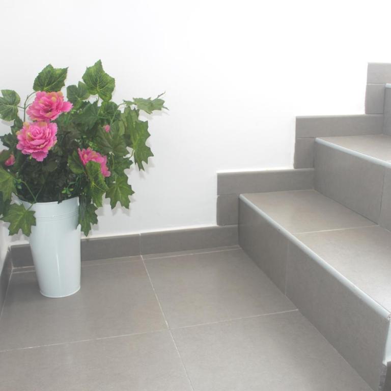 Apartamento Gaviotas - Apartamento - 6