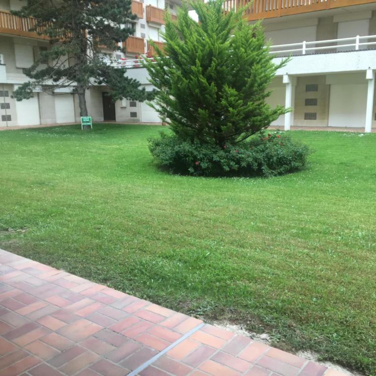 The golden triangle Apartment - Appartement - Vue sur Jardin - 11
