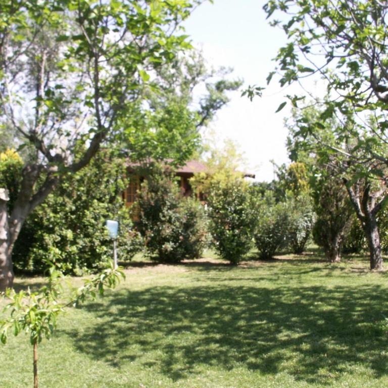 Chalets 1 MESANGE BLEUE Roquebrune Sur Argens - Chalet - 16
