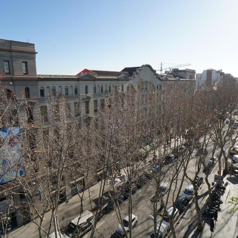 Barcelona4Seasons - Central Palace - Three-Bedroom Apartment - 14