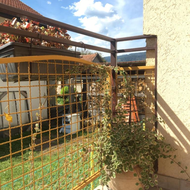 Zvezdica - Apartman sa 2 Spavaće Sobe - 48