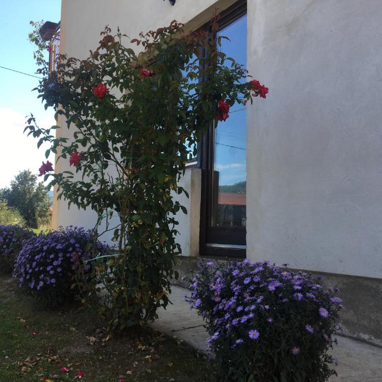 Zvezdica - Apartman sa 2 Spavaće Sobe - 46