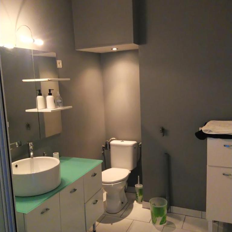 Quai de Versailles Nantes - Appartement - 7