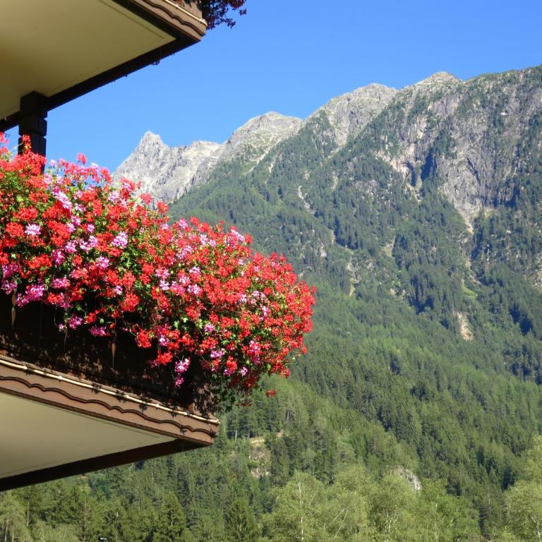 Haus Marita - Apartment mit 1 Schlafzimmer - 9