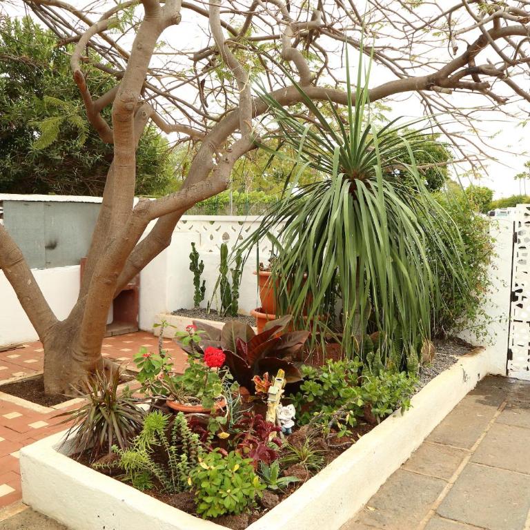 Heavens Garden House - Casa Unifamiliar de 3 dormitorios - 78