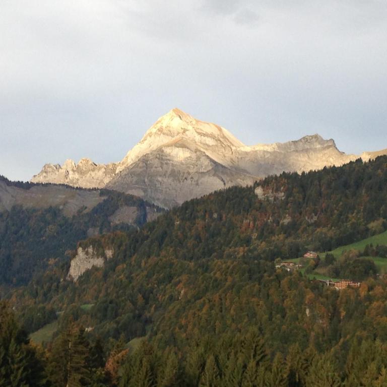 Chalet Nanook - Chalet - 15