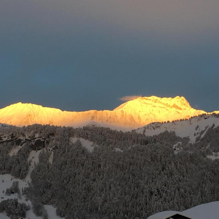 Chalet Nanook - Chalet - 10