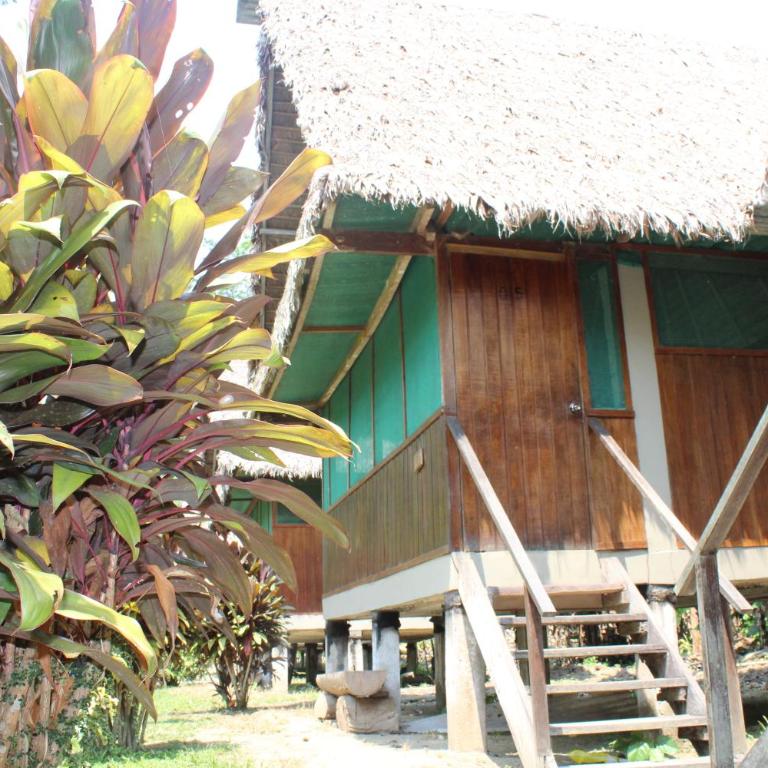 Paradise Amazon Tambopata Ecolodge - Quadruple Room with Private Bathroom - 3