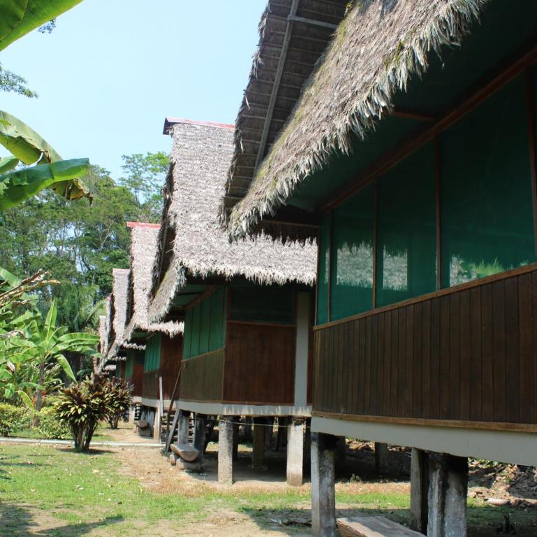Paradise Amazon Tambopata Ecolodge - Quadruple Room with Private Bathroom - 5