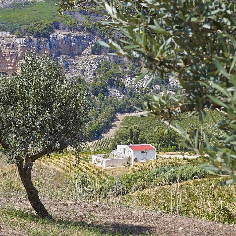 Villa Bonifato alloggo a uso turistico vista sulle campagne e sul mare siciliano - Villa - 6