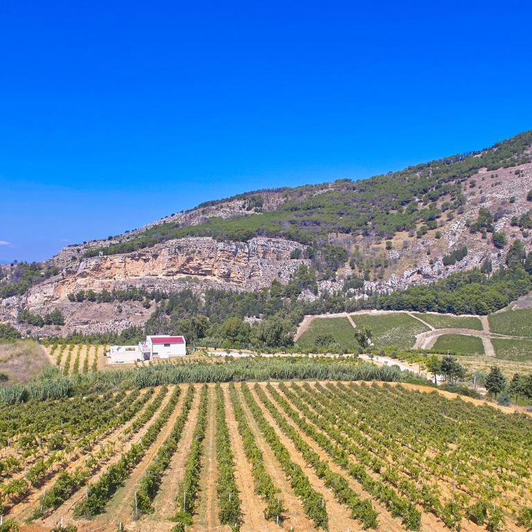 Villa Bonifato alloggo a uso turistico vista sulle campagne e sul mare siciliano - Villa - 7
