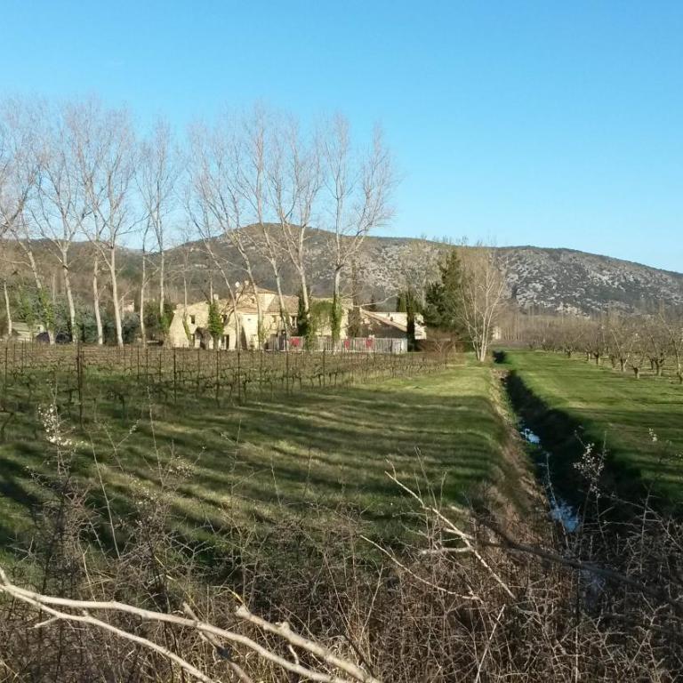Gîte Aux Tournesols - Cottage (10 Adultes) - 19