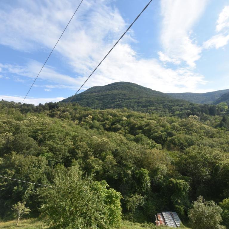 Agriturismo Locanda del Papa - Camera Matrimoniale Piccola - 1