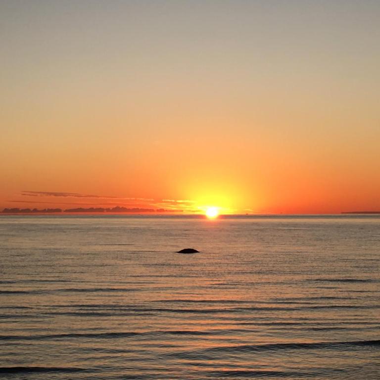 Ciao MARE - Appartamento - 18