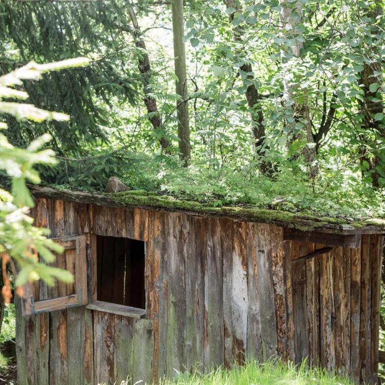 Chalet Hafling Zoila - Chalet - 34