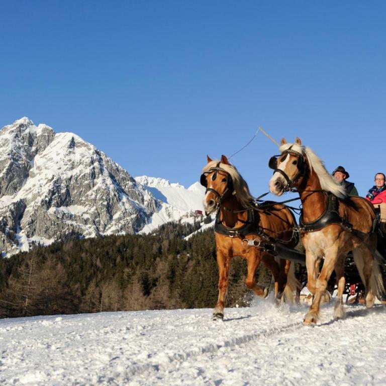 Chalet Hafling Zoila - Chalet - 52