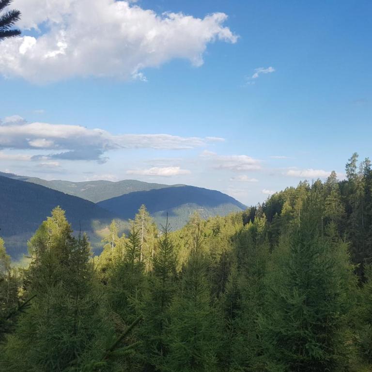 Neuwirth Hütte - Haus mit 3 Schlafzimmern - 40