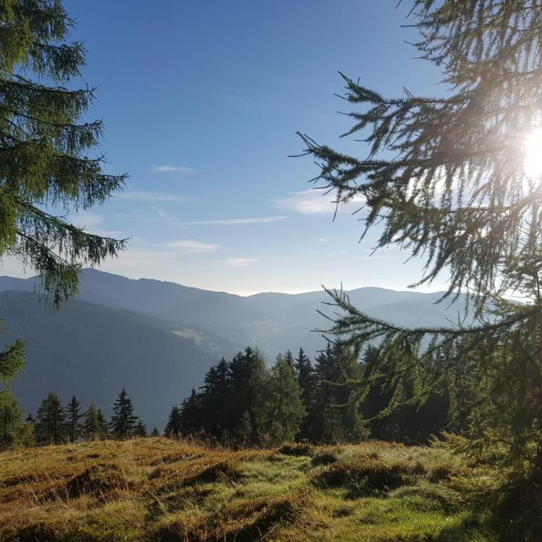 Neuwirth Hütte - Haus mit 3 Schlafzimmern - 41