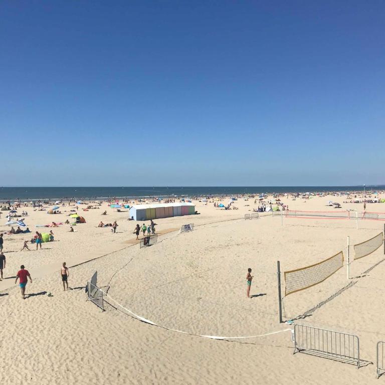 Appartement à 30 m de la plage - balcon - lumineux - wifi - Le Cérès 2 - Apartment - 13