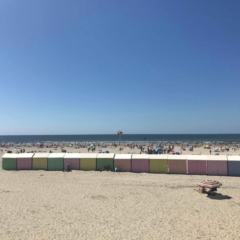 Appartement à 30 m de la plage - balcon - lumineux - wifi - Le Cérès 2 - Apartment - 11