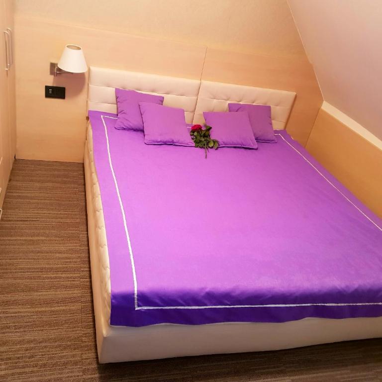 Apartment Superior Centar - Apartment - 1