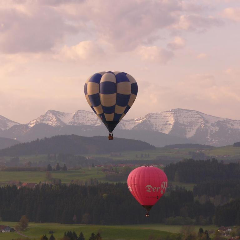 ALLGÄU HAUS - Appartamento con Terrazza - 39