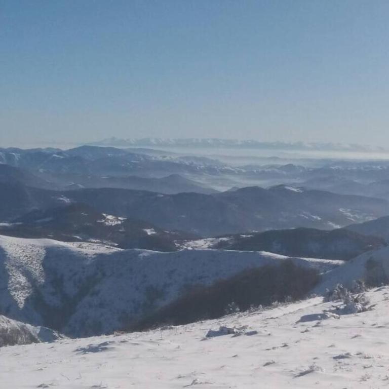 Vila Dizdarevic Kopaonik - Vacation Home - 60