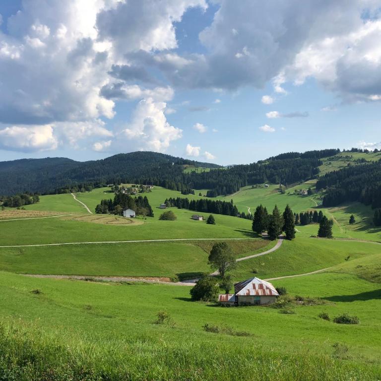 Chalet Maso Pino - Four-Bedroom Chalet - 88