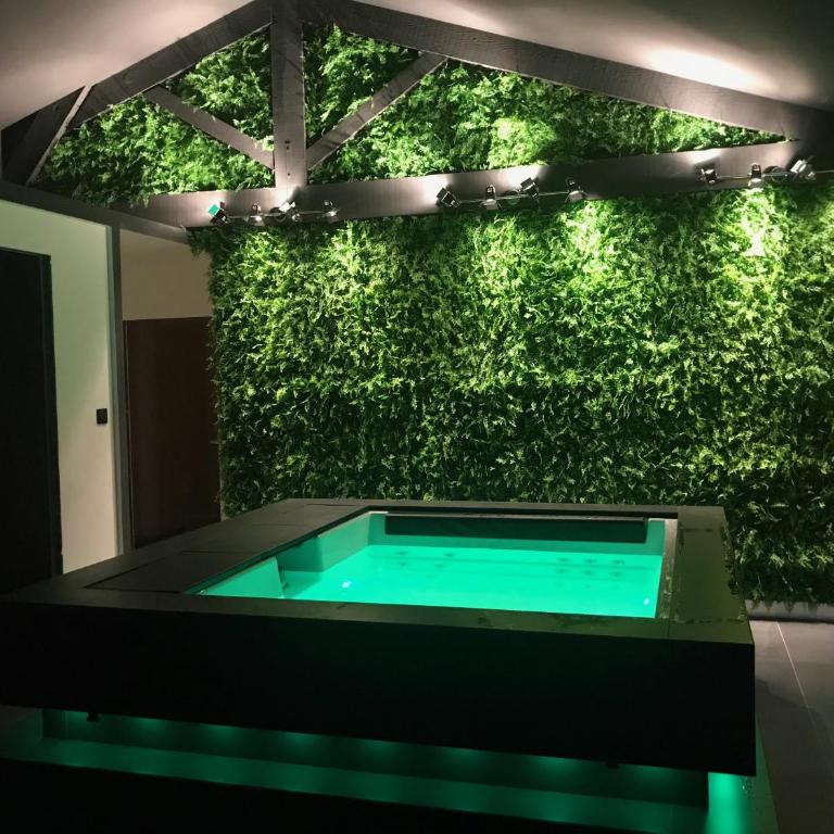 Loft piscine et spa provence - Apartamento Deluxe con Spa - 1