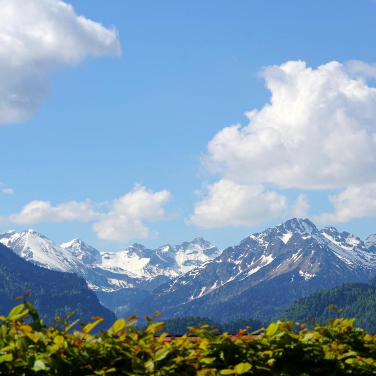 "Haus Alpenblick" - Annehmlichkeiten von 4-Sterne Familien-und Wellnesshotel Viktoria können mitbenutzt werden - Apartment mit Blick auf die Berge - 5