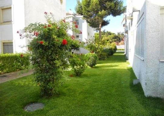 Apartamento en Rota Pinar - Apartamento - 15