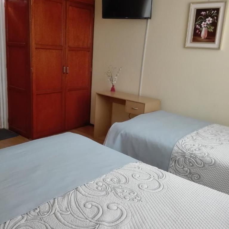 Apart & Hostal ManuAlé - Apartment - Split Level - 1