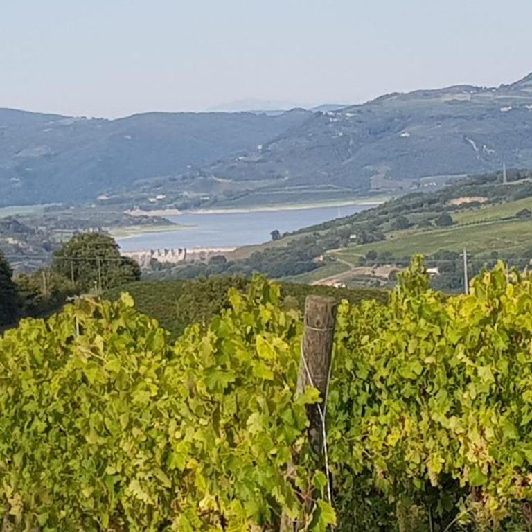 Casa Vacanza Malescale - Appartamento con 1 Camera da Letto - 37