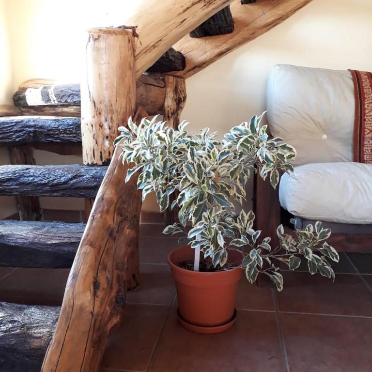 Morena - Casa de 2 dormitorios - 16