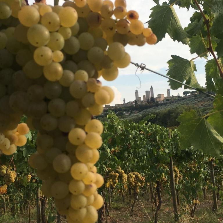 RoccaiaCasa'70 - Appartamento Superior - 19