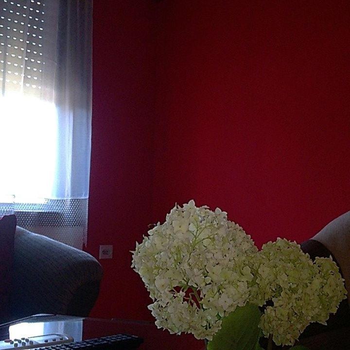 Felix Apartment - Apartman - 52
