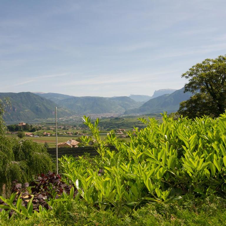 Schloss-Hof - Appartamento con Vista Montagna - 10