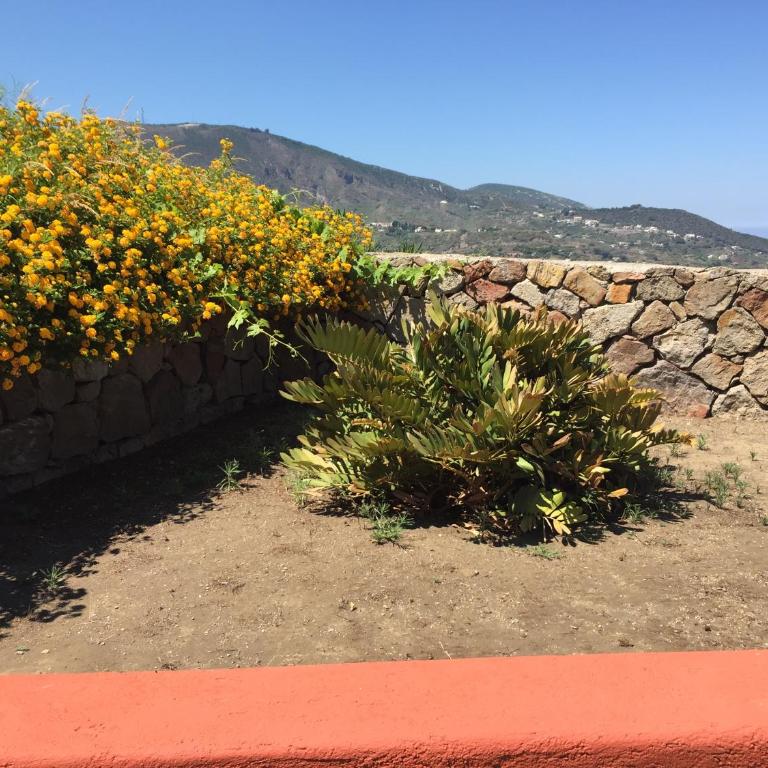 Casa Marta - Appartamento con 2 Camere da Letto - 6