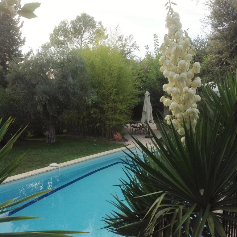 Villa Oïa - Chambre Double - Vue sur Piscine - 6
