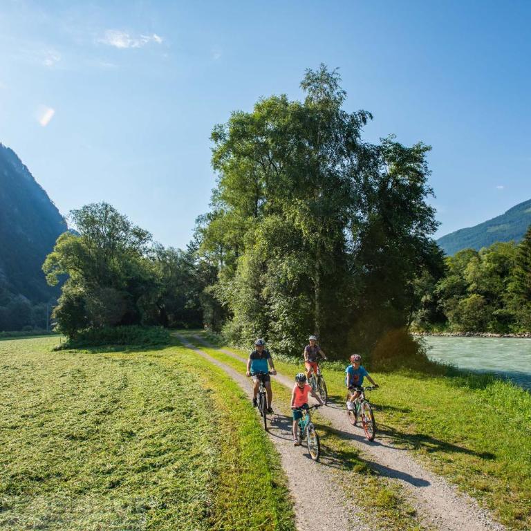 Ferienwohnung DrauSport - Apartment mit Blick auf die Berge - 53