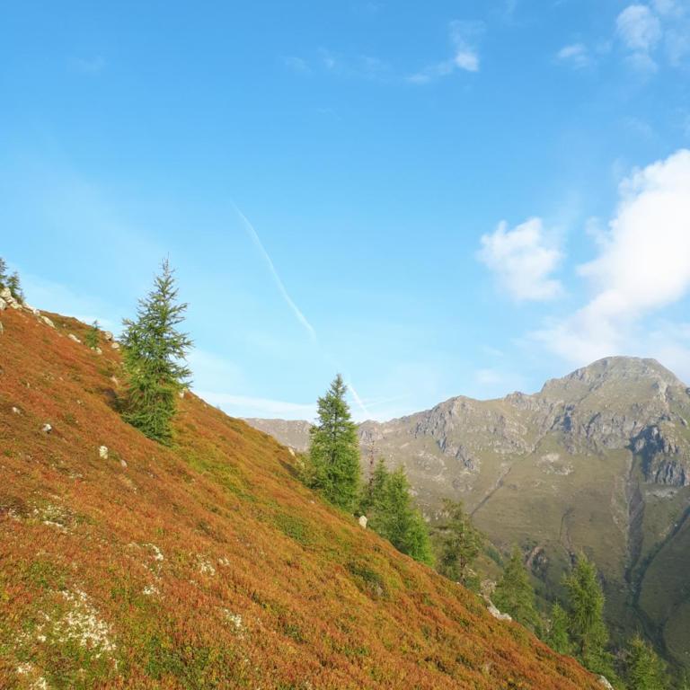 Ferienwohnung DrauSport - Apartment mit Blick auf die Berge - 52