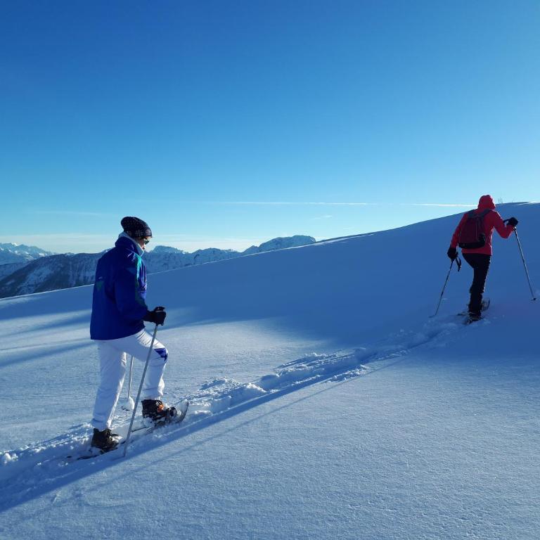 Ferienwohnung DrauSport - Apartment mit Blick auf die Berge - 44