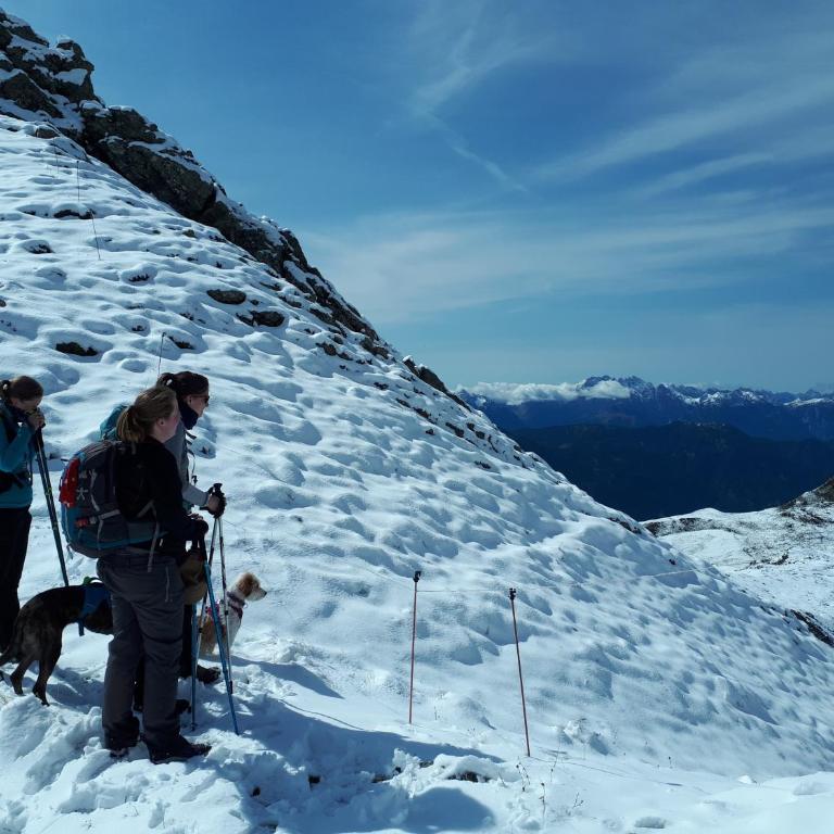 Ferienwohnung DrauSport - Apartment mit Blick auf die Berge - 43