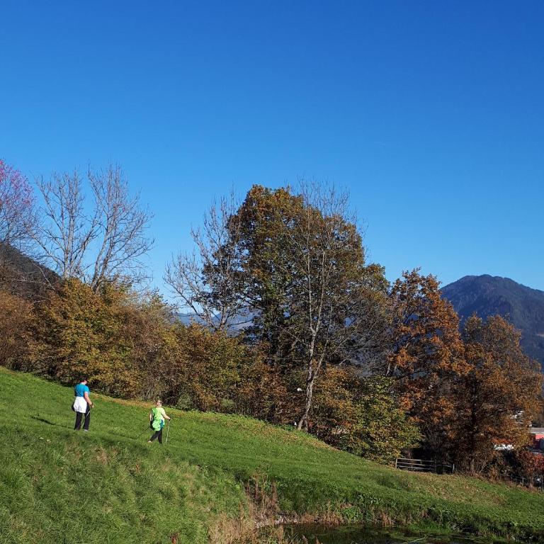 Ferienwohnung DrauSport - Apartment mit Blick auf die Berge - 5
