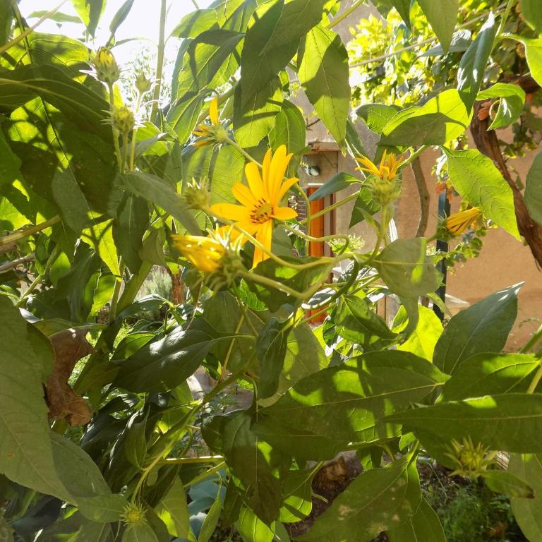 Garden&House Amore Vero - Casa Vacanze - 14