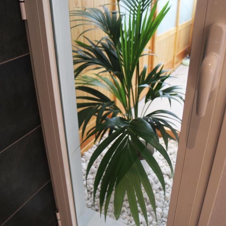 Apartamento Daniela - Apartment - Ground Floor - 33
